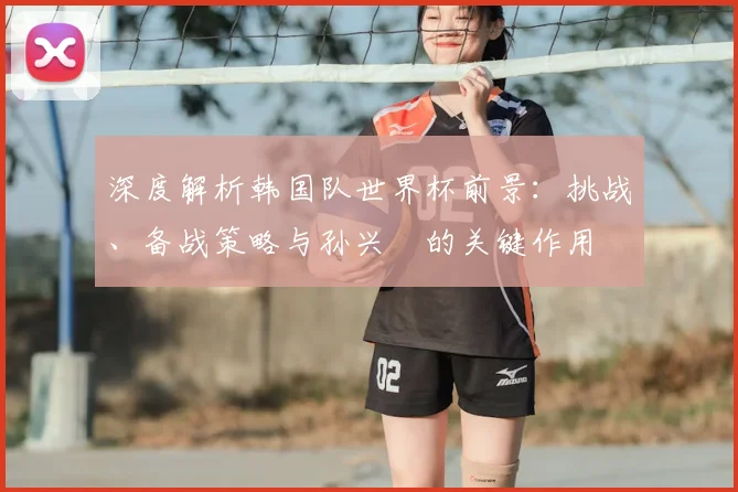 深度解析韩国队世界杯前景：挑战、备战策略与孙兴慜的关键作用