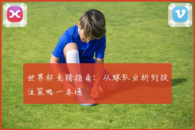 世界杯竞猜指南:从球队分析到投注策略一本通